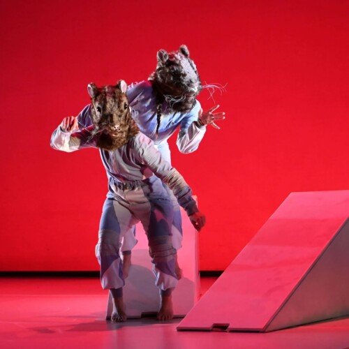 laMONTO danza contemporánea